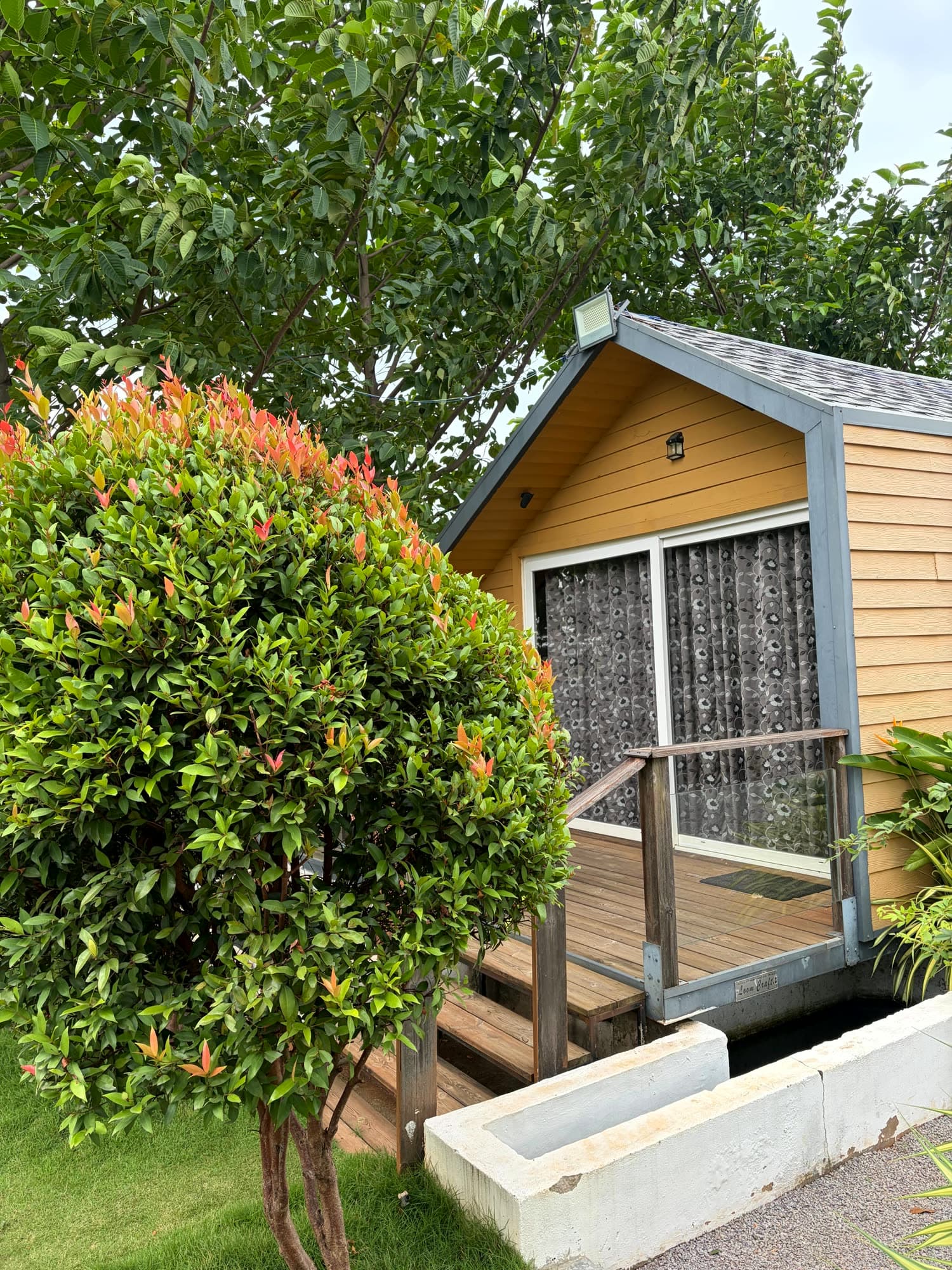 Wooden deck steps up to the cottage's sliding doors