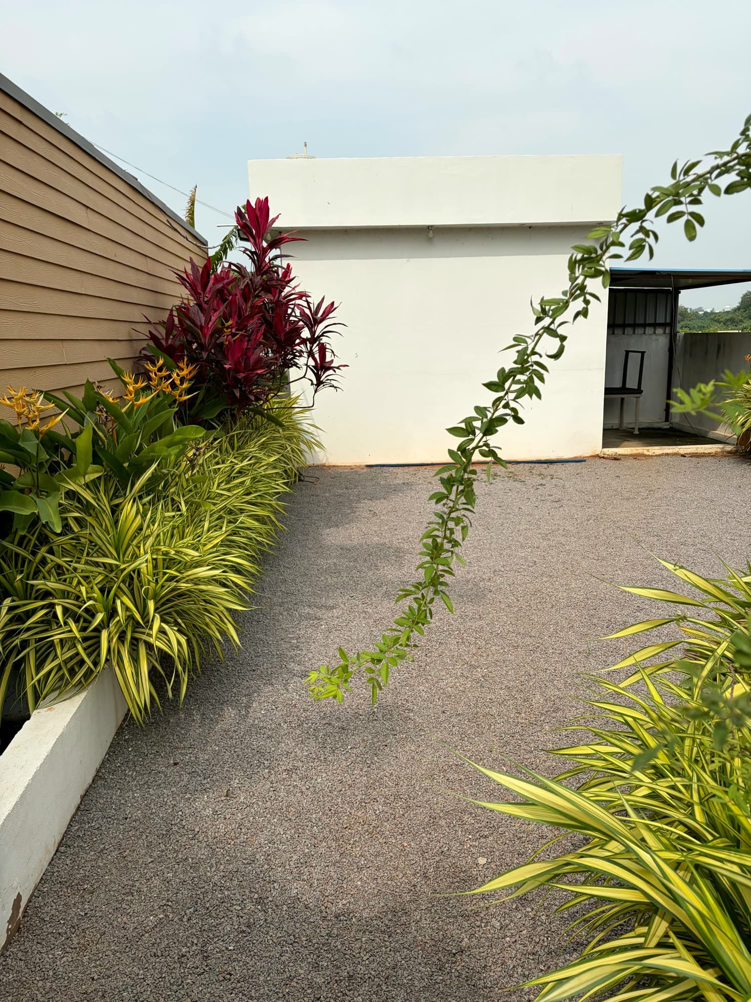 Paved path along the cottage wall past flowering plants