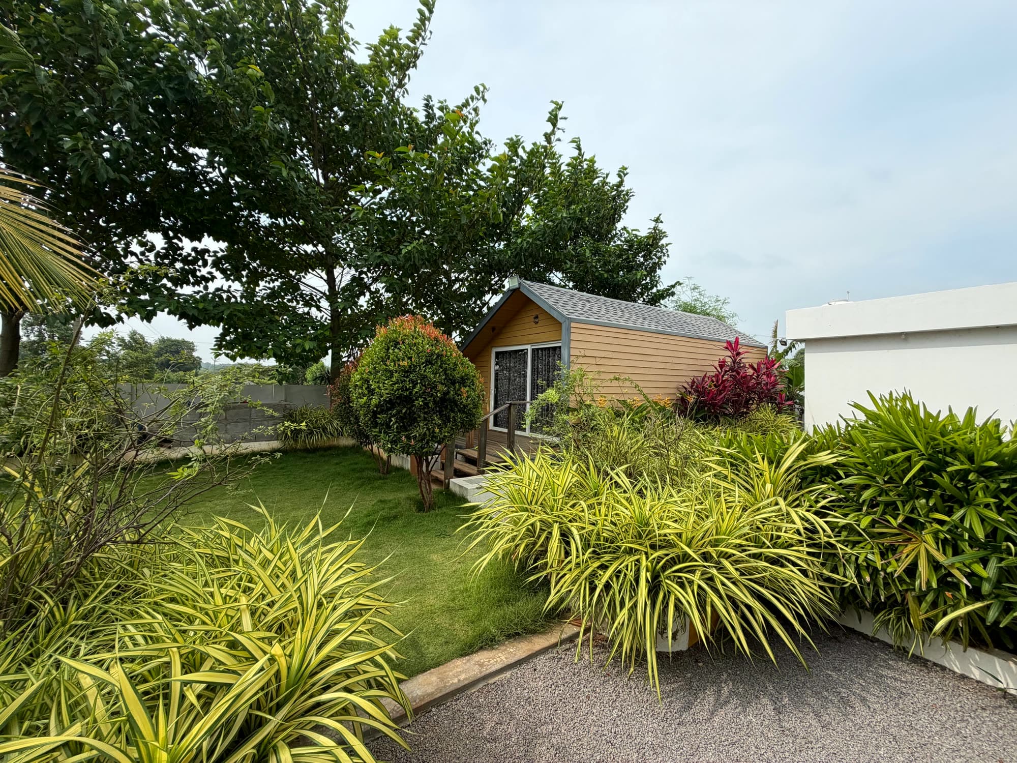 Garden beds with the cottage in the background
