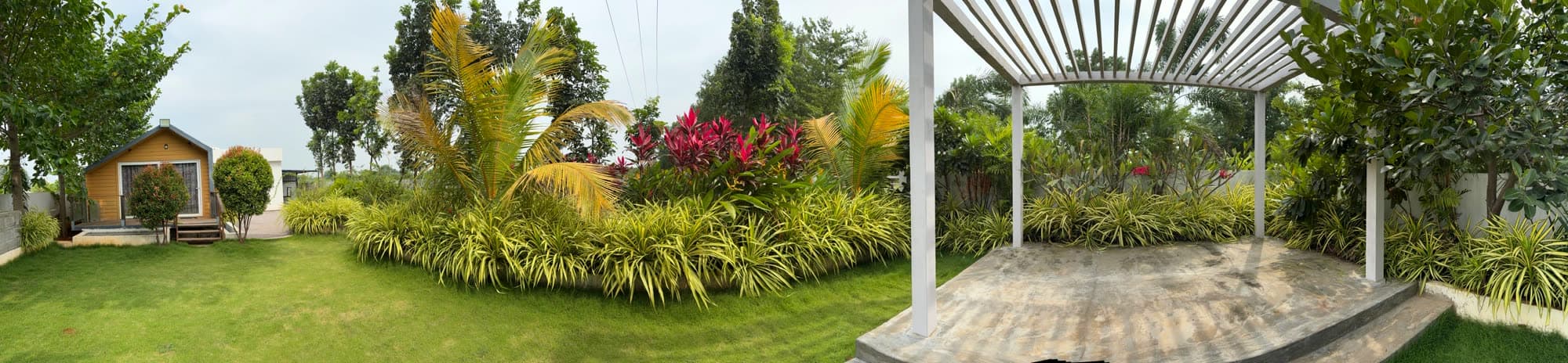 Panorama of the garden, lawn and pergola