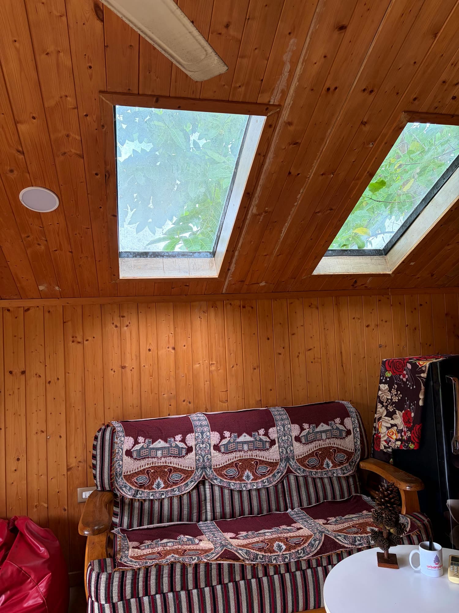Wood-panelled living room with two skylights and a sofa
